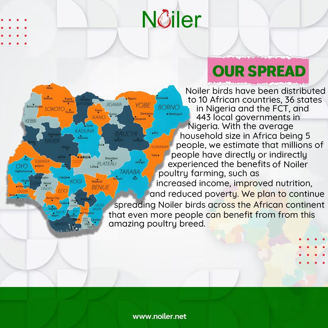 Noiler’s Growing Footprint: Transforming Poultry Farming and Lives Across Africa