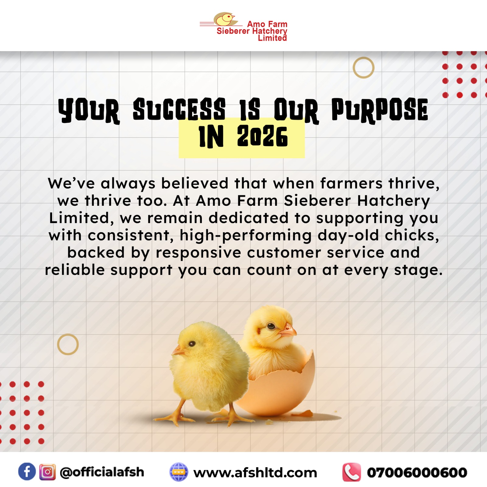 Your Success is Our Purpose in 2026: Best Day-Old Chicks for Poultry Farmers