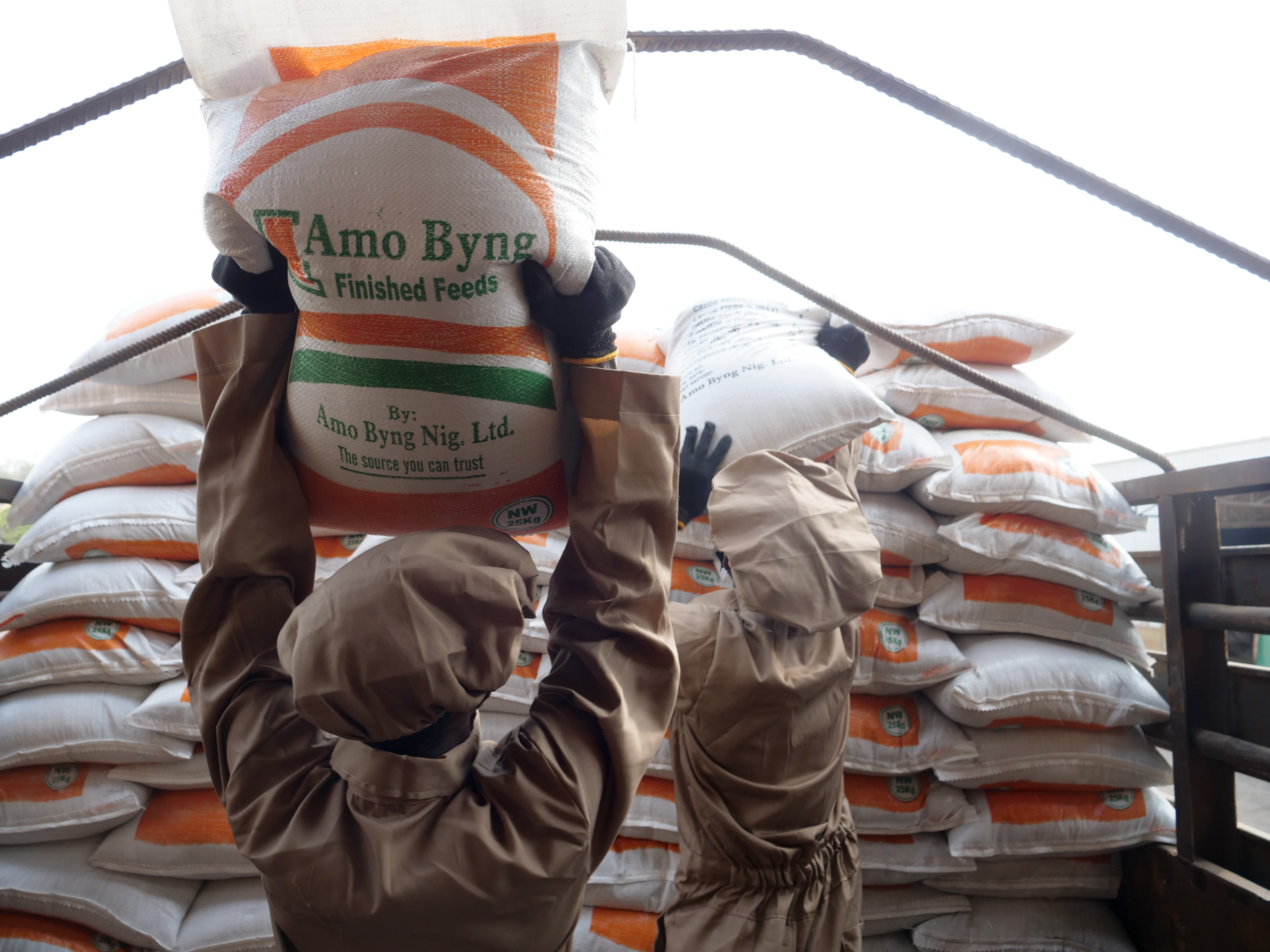 How to Maximize Profits in Poultry Farming Despite Rising Feed Costs